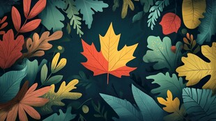 秋叶缤纷的自然诗意景象