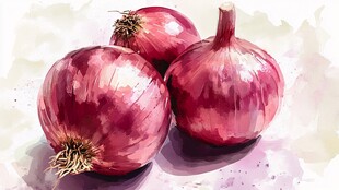 水彩画中的三颗红洋葱