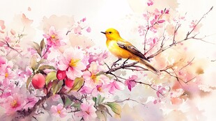 黄莺栖繁花枝头美景