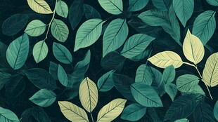 深绿背景上的多彩叶片图案