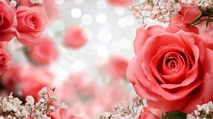 浪漫粉色玫瑰梦幻花卉图