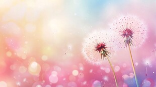 梦幻蒲公英背景图