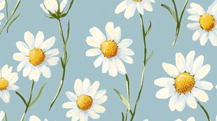 清新蓝底雏菊水彩花卉图