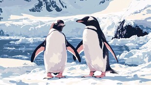 冰原上亲昵的两只企鹅