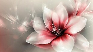 梦幻粉白花朵唯美背景图