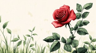 娇艳红玫瑰绽于绿草间