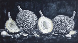 黑白画中的多样榴莲形态