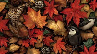 秋日叶间的灵动生机