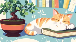 猫咪卧于书本上惬意休憩