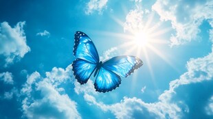 蓝蝶翱翔于晴空中