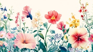 梦幻花卉绽放图