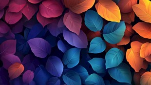 多彩秋叶背景图