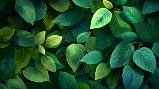 茂密绿叶背景图