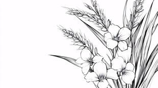 黑白花卉麦穗线稿插画