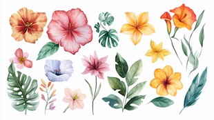 水彩手绘多彩花卉与叶片