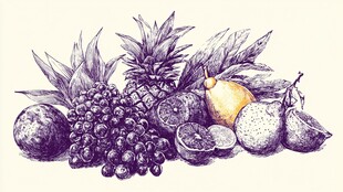 手绘缤纷水果组合