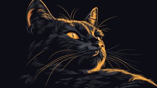 黑猫侧影 神秘的金色眸光