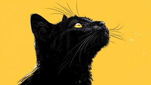 黑猫仰望黄背景