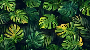 热带绿植叶背景图案