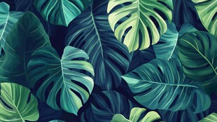 热带龟背竹叶背景图案