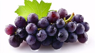 新鲜紫葡萄带叶水灵诱人