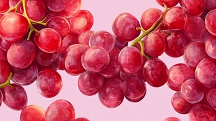 红葡萄水彩画 饱满诱人