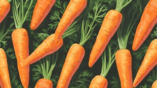 满屏鲜胡萝卜插画图案