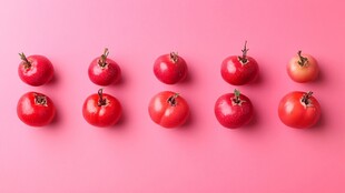 粉红背景上的新鲜红番茄