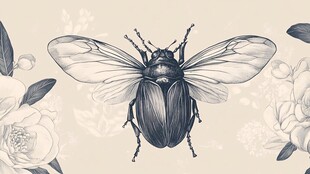 甲虫花卉插画复古风图案