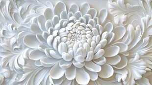 白色浮雕菊花艺术图案