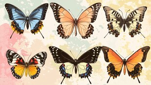 多彩蝴蝶插画集合