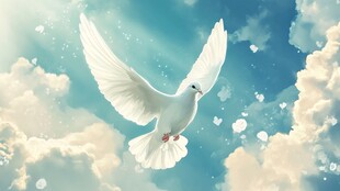 白鸽翱翔于梦幻云海间