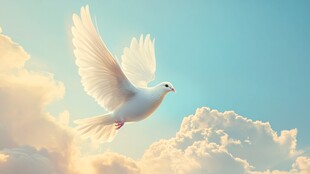 白鸽翱翔于云海蓝天间