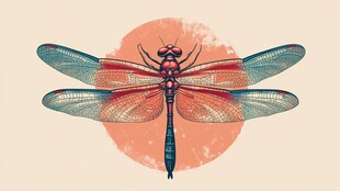 复古风格红底蜻蜓插画