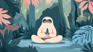 树懒在丛林中冥想