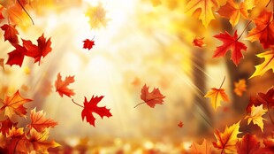 秋景 飘落的绚烂枫叶