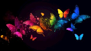 梦幻炫彩蝴蝶飞舞画面