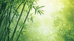 阳光照耀下的翠绿竹林