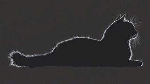 黑猫剪影 优雅姿态尽显