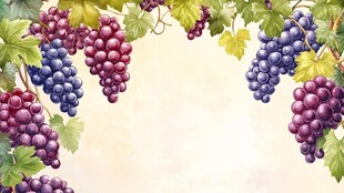 葡萄藤蔓装饰背景图