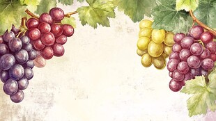 水彩风葡萄装饰图