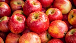 红彤彤的新鲜苹果堆