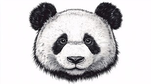 黑白熊猫头像插画