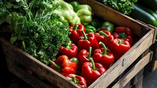 木筐中的多彩新鲜蔬菜