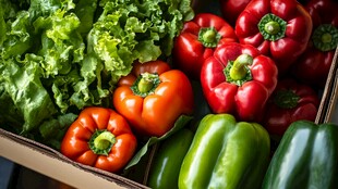 多彩新鲜蔬菜大集合