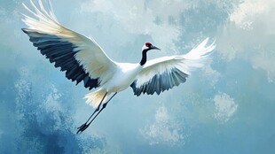 丹顶鹤翱翔于天际