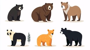 多种熊类动物插画集合