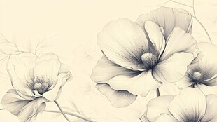 手绘淡雅花卉线条插画