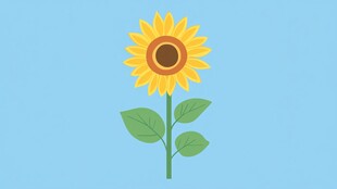 蓝色背景上的黄色向日葵