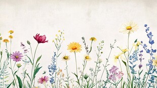 手绘多彩野花花卉图